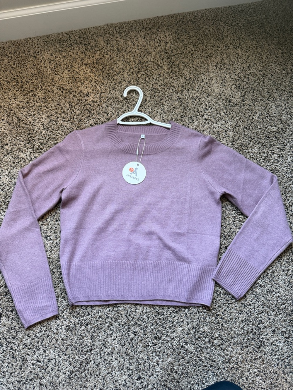 NWT Everyday Crewneck Sweater in Lilac by Annalise